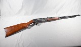 Remington ~ Model 25 ~ .25-20 Winchester Center Fire - 1 of 13