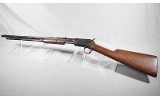 Winchester ~ Model 1906 ~ .22 Short - 2 of 15