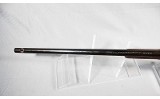 Winchester ~ Model 1906 ~ .22 Short - 8 of 15