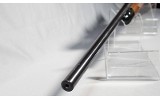 Remington ~ Model 700 ~ .17 Remington - 10 of 10