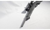 Ruger ~ 10/22 ~ .21 Sharp - 10 of 11