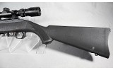 Ruger ~ 10/22 ~ .21 Sharp - 5 of 11