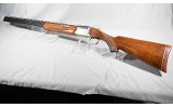 Shadow ~ 12 gauge - 2 of 6