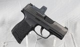 Sig Sauer ~ P365 ~ 9mm Luger - 1 of 6