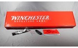 Winchester ~ SX4 ~ 12 gauge - Image 12 of 12