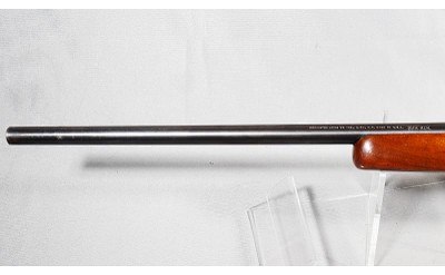 Remington ~ Model 788 ~ 6mm Remington - Image 8 of 12