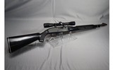 Remington Arms ~ Nylon 66 ~ .22 LR