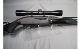 Remington Arms ~ Nylon 66 ~ .22 LR - 7 of 8