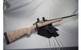 Howa ~ 1500 ~ .300 Win Mag