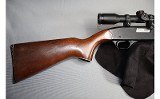 Winchester ~ 290 ~ .22 S/L/LR