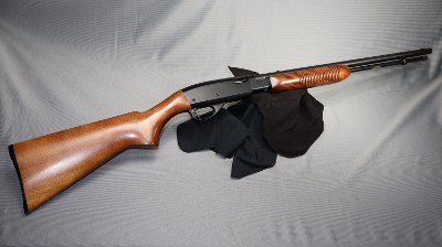 Remington ~ 572 ~ .22 LR