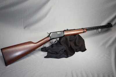 Winchester ~ 9422 ~ .22 S, L, LR