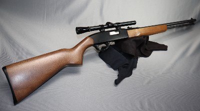 Winchester ~ 190 ~ .22 L, LR