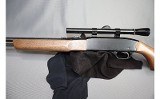 Winchester ~ 190 ~ .22 L, LR - 6 of 8