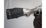 Remington ~ 700 ~ .300 Winchester Magnum - 2 of 8