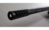 Remington~700~.300 Win Mag - 7 of 11