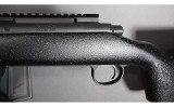 Remington~700~.300 Win Mag - 10 of 11