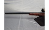 Weatherby ~ Vanguard ~ .257 Weatherby Magnum - 6 of 11