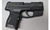 Sig Sauer ~ P365 ~ 9mm Luger