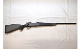 Weatherby ~ Vanguard ~ .25-06 Remington