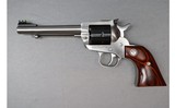Ruger ~ Single Ten ~ .22 Magnum - 2 of 2