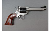 Ruger ~ Single Ten ~ .22 Magnum