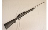 Remington ~ 700 ~ .300 Winchester Magnum