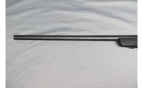 Remington ~ 783 ~ .300 Winchester Magnum - 8 of 10