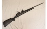 Savage ~ 110 ~ .30-06 Springfield - 1 of 10
