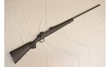 Remington ~ 700 ~ 7mm Remington Magnum - 1 of 10