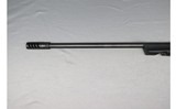 Franchi ~ Momentum ~ .300 Winchester Magnum - 8 of 10