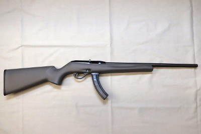 Remington ~ 597 ~ .22 Long Rifle