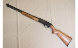 Winchester ~ 190 ~ .22 Long Rifle - 2 of 10