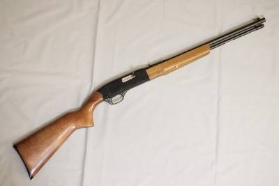 Winchester ~ 190 ~ .22 Long Rifle
