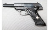 High Standard ~ Sports King ~ .22 Long Rifle - 1 of 1
