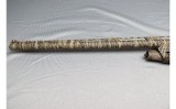 Winchester ~ SXP ~ 12 Gauge - 8 of 10