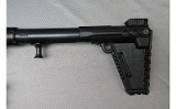 Kel Tec ~ Sub-2000 ~ 9mm Luger - 11 of 11