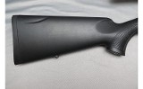 Sauer ~ 100 ~ .308 Winchester - 3 of 10 Sauer ~ 100 ~ .308 Winchester - 3 of 10