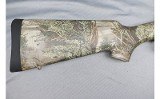 Savage ~ 10 ~ .243 Winchester - 3 of 10