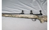 Savage ~ 10 ~ .243 Winchester - 9 of 10