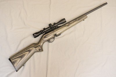 Remington ~ 597 ~ .17 HMR