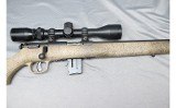 Savage ~ 93R17 ~ .17 HMR - 4 of 10