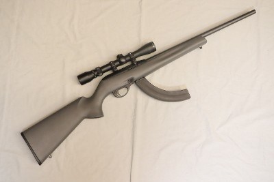 Remington ~ 597 ~ .22 Long Rifle