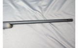 Bergara ~ B-14 ~ .300 Winchester Magnum - 5 of 10