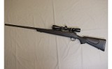 Remington ~ 700 ~ .300 Winchester Magnum - 2 of 10