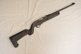 Ruger ~ 10/22 ~ .22 Long Rifle