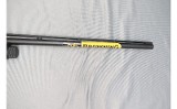 Browning ~ BPS ~ .410 Bore - 5 of 10