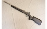 Savage Arms ~ B-Mag ~ .17 Winchester Super Magnum - 2 of 10
