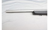 Savage Arms ~ B-Mag ~ .17 Winchester Super Magnum - 8 of 10