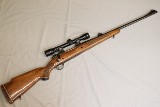 Winchester ~ 70 ~ 7mm Remington Magnum
